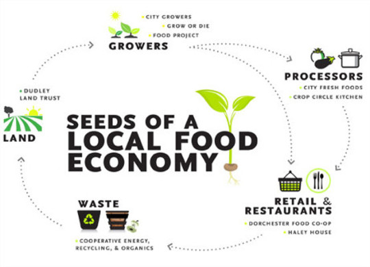 Graphic by Michelle Ney and Natalie Lubsen.